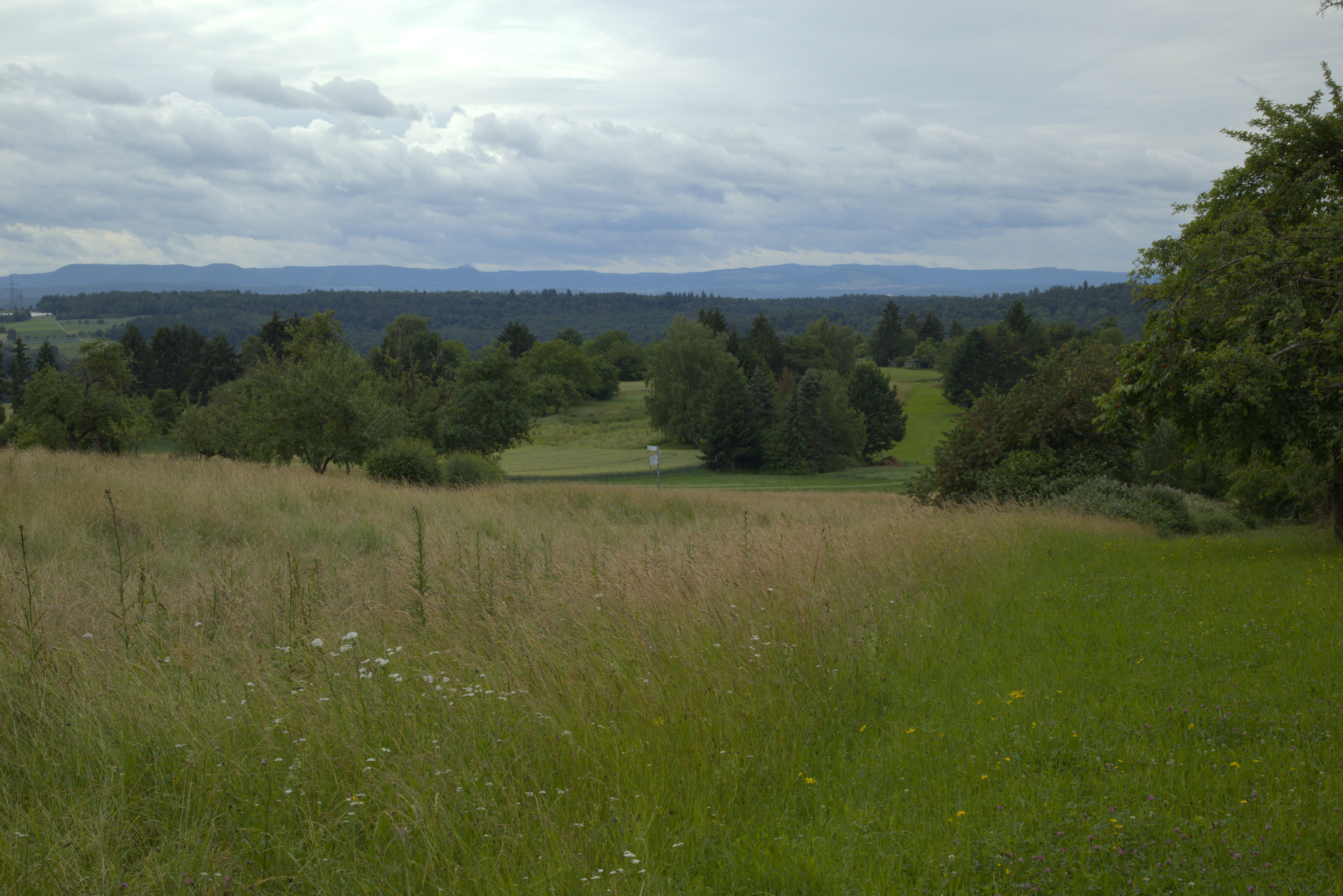 View onto nearby hills over a meadow.