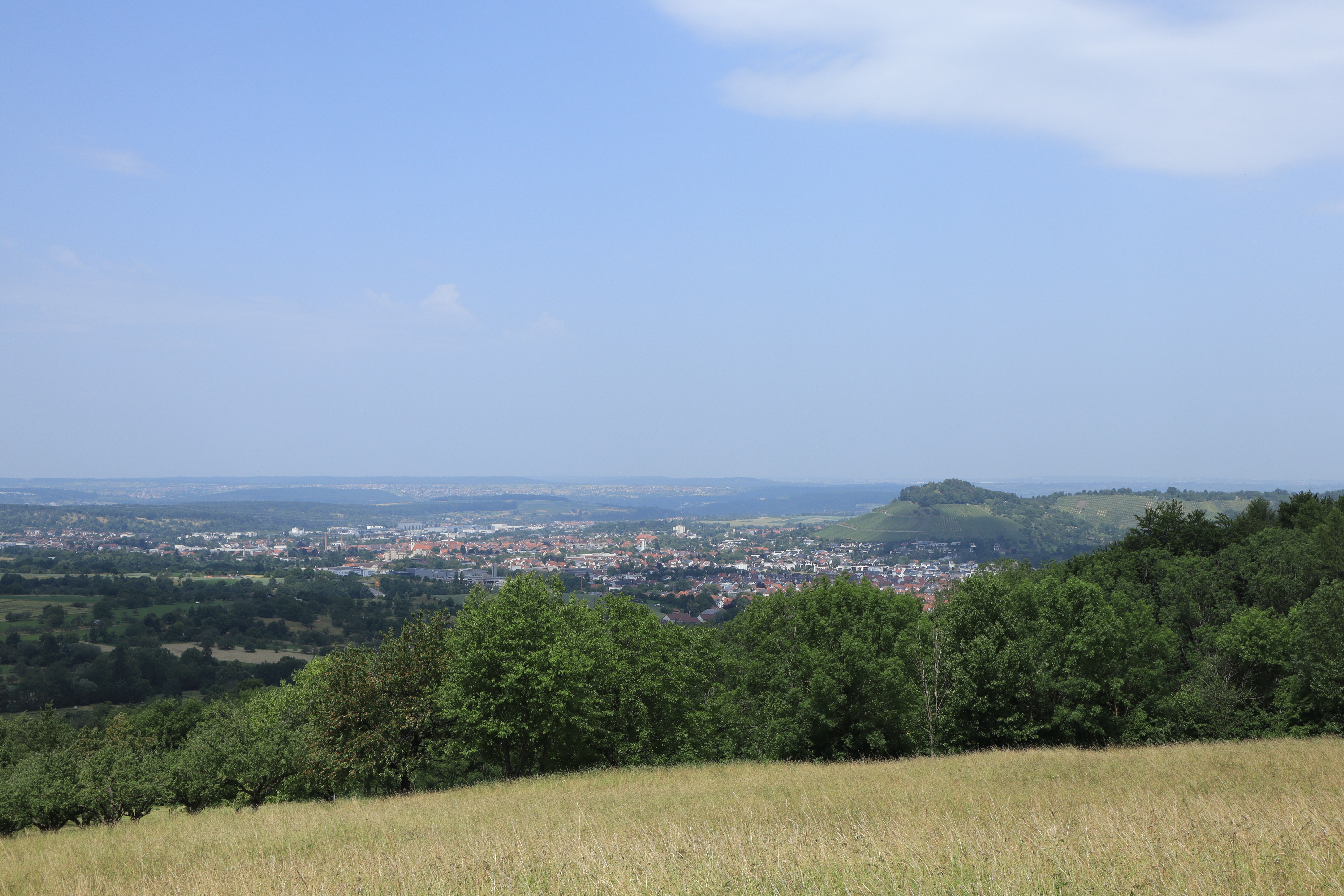 Grass and trees in the foreground with a view onto a hill and a town in the background.