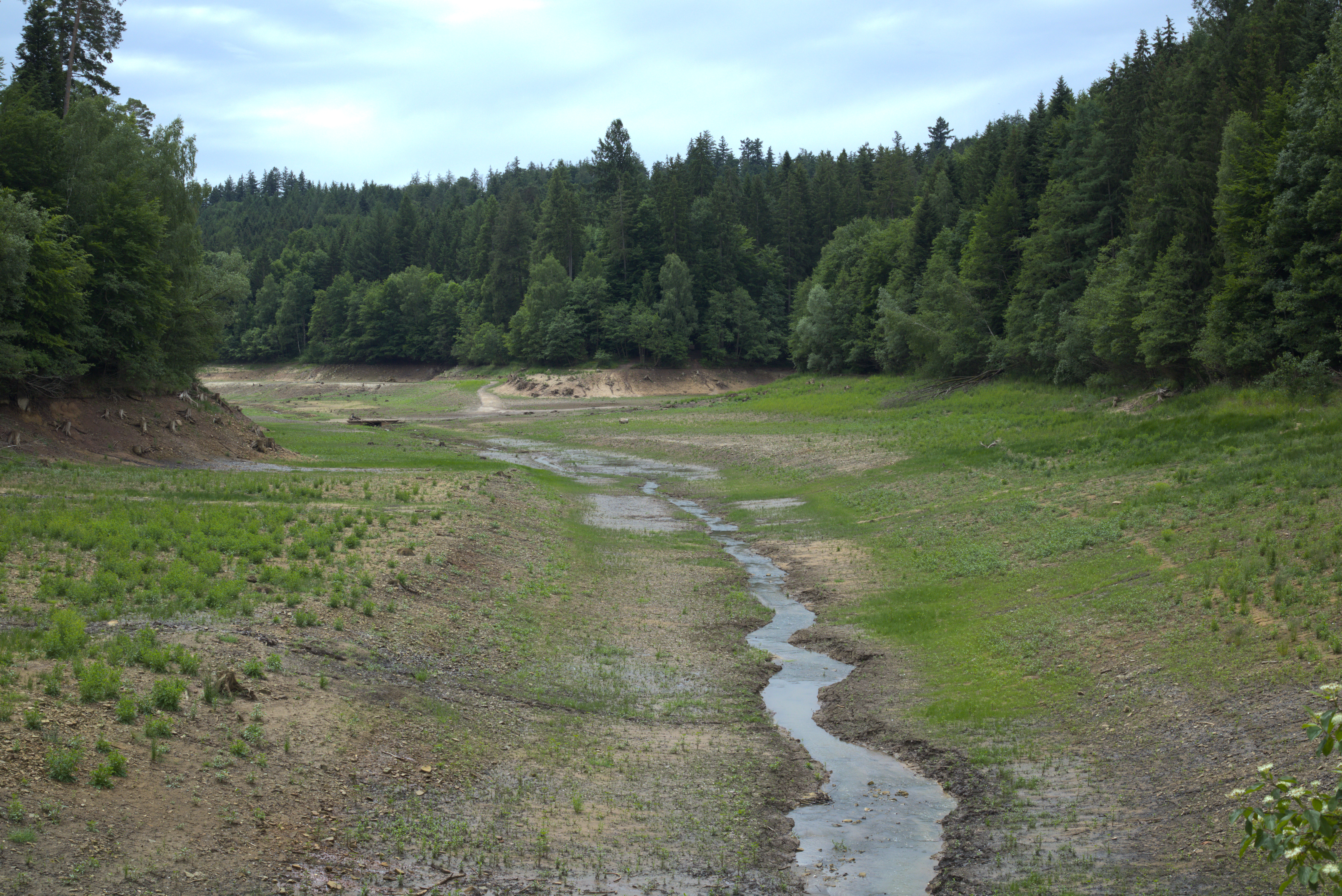 A thin stream of water in an almost empty basin of a small lake. The bottom of the basin is just getting green with grass.