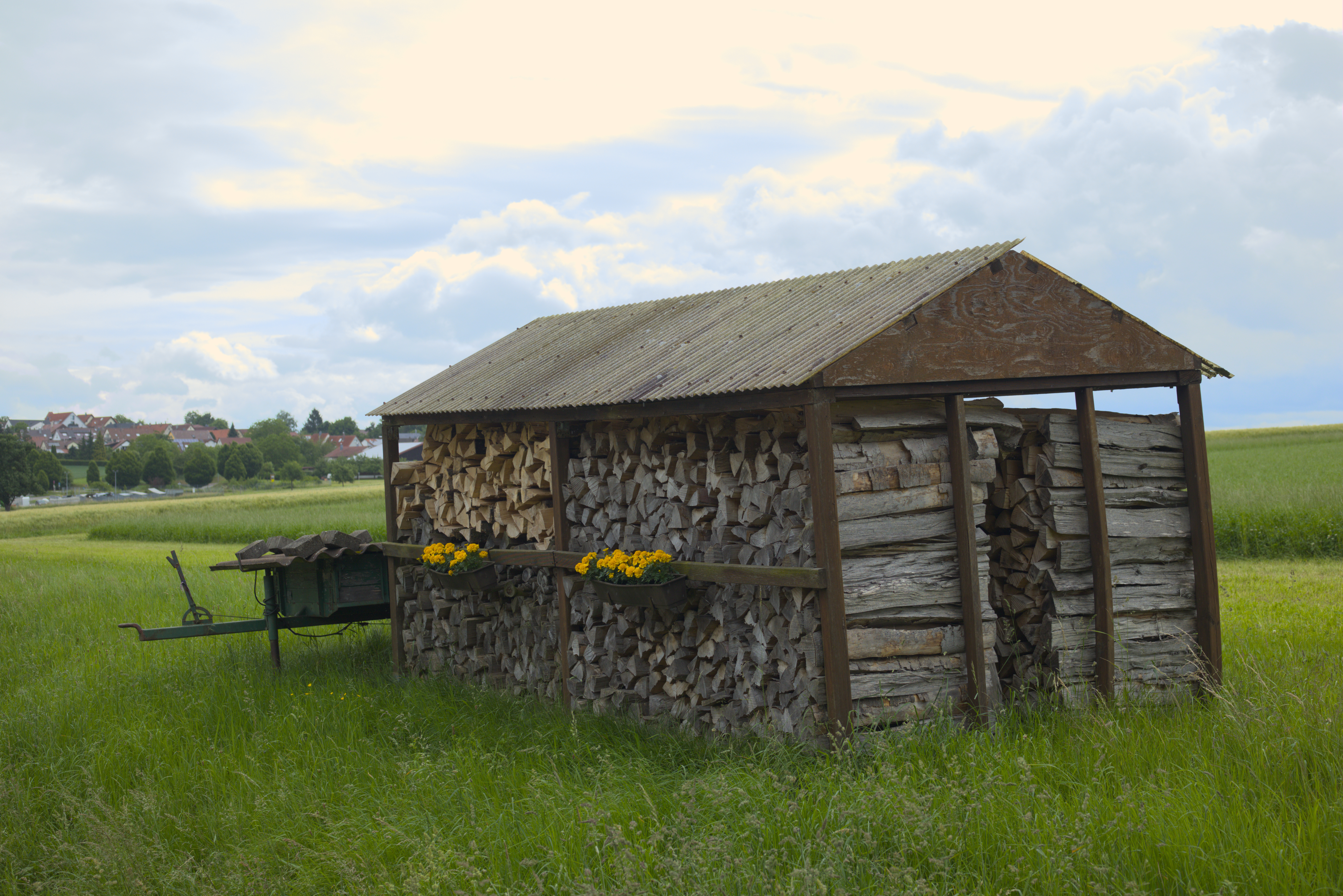 A storage shed completely full of firewood. It has two flower beds hanging on the wall, with yellow flowers in them.