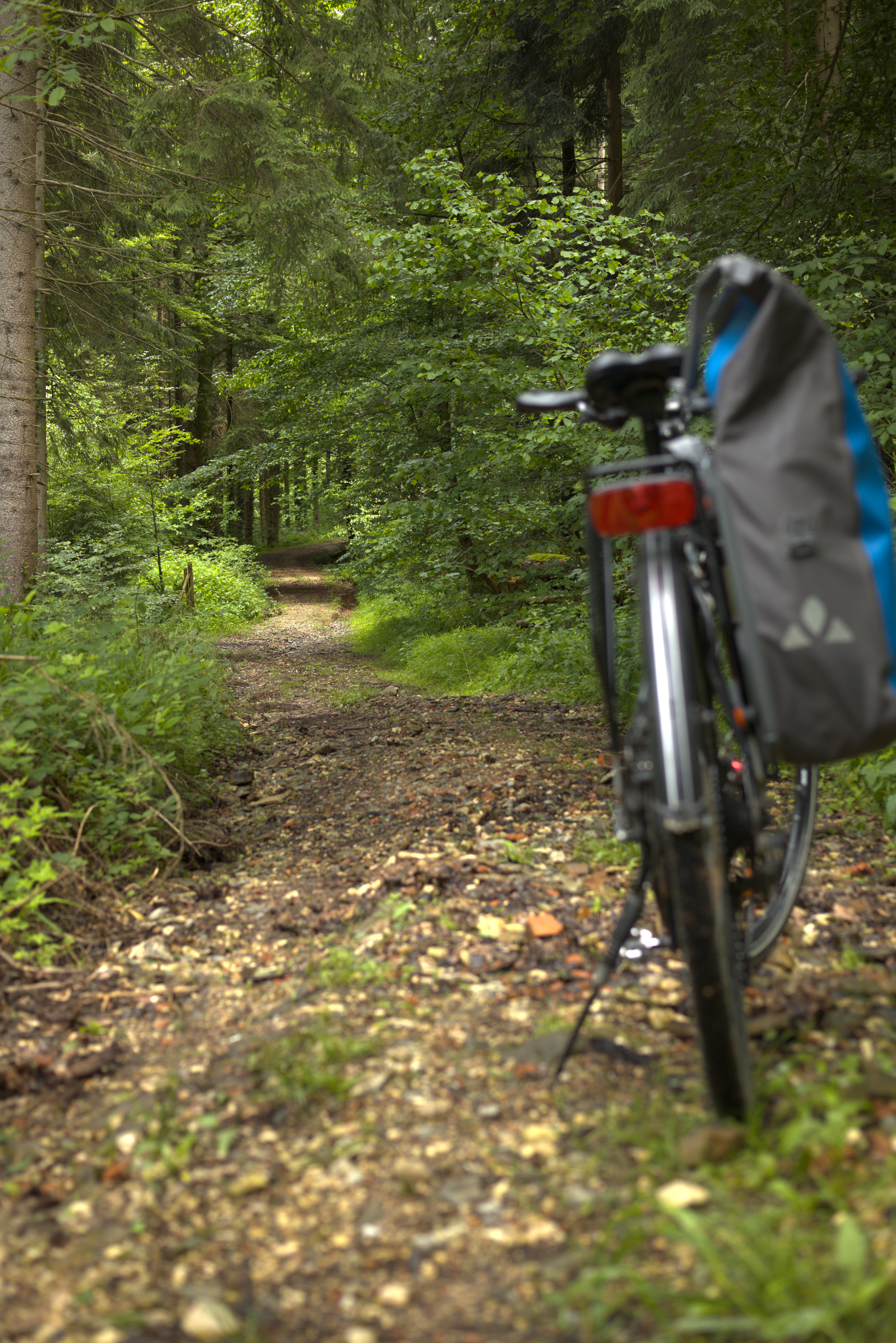 Downhill rocky trail in front of a bike. The bike is up close and blurry, while the trail in the distance is in focus.