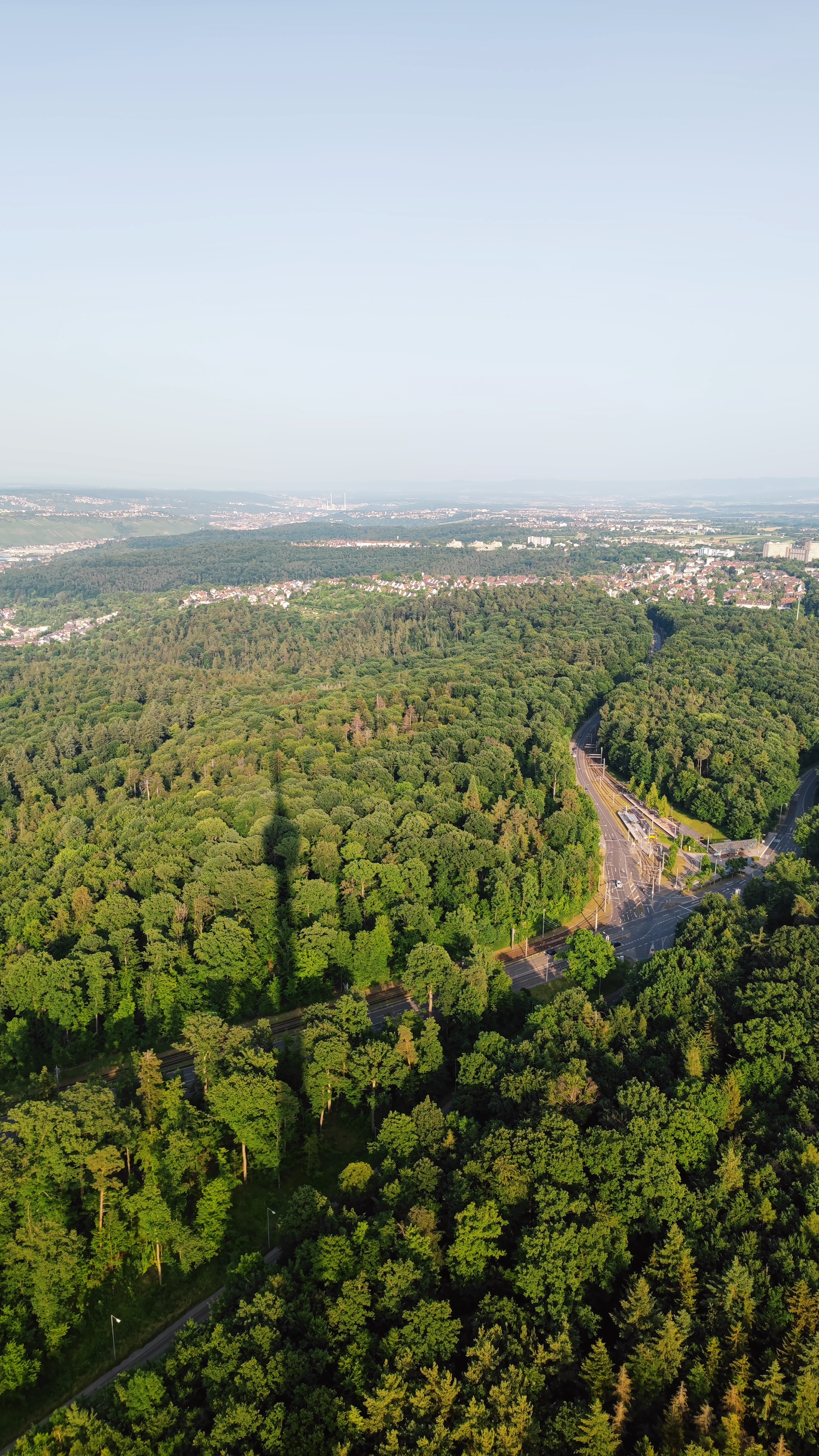 Panorama from a tower on a hill. The tower casts a shadow over the woods below.