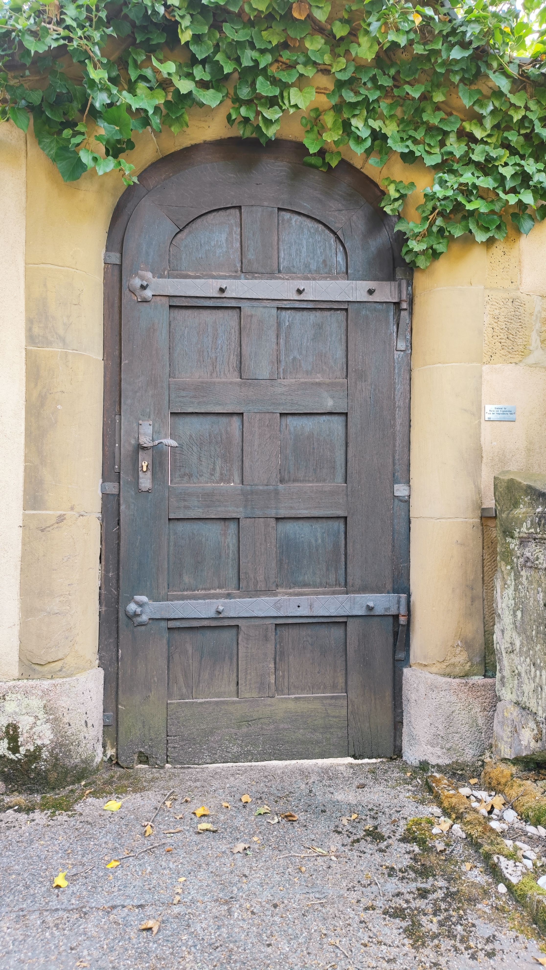 A wooden door with an old design.