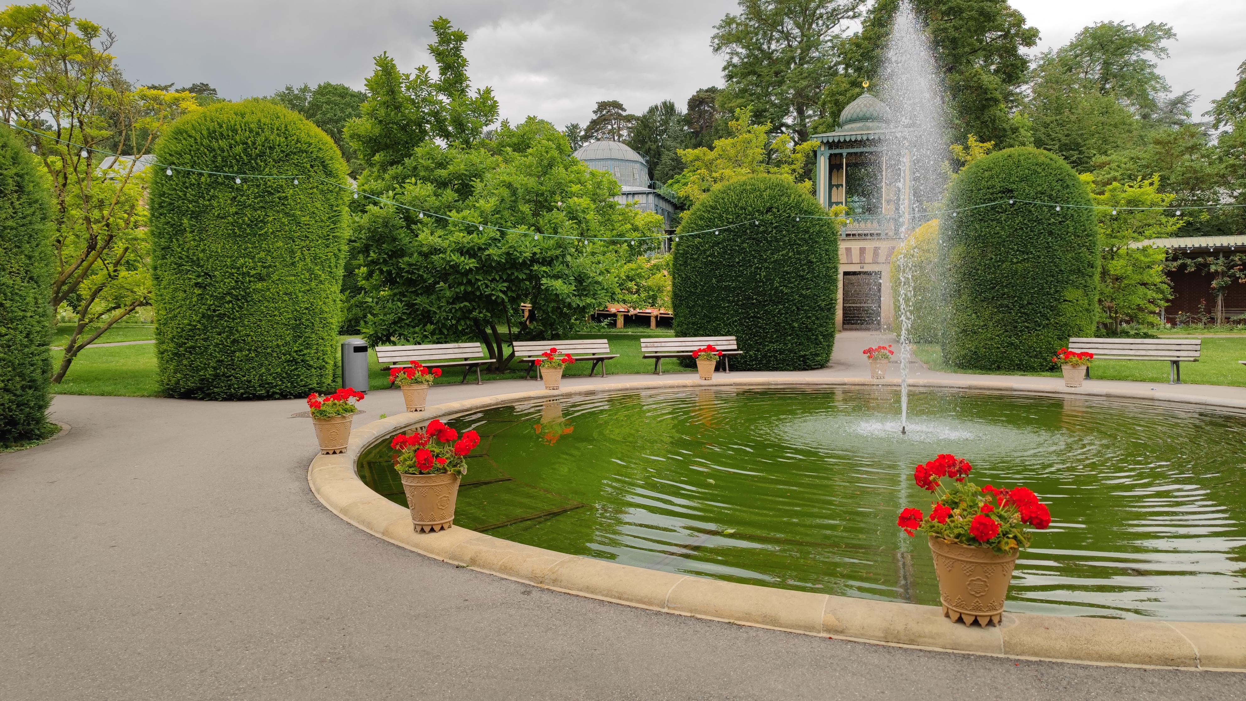 Fountain in a botanical garden.