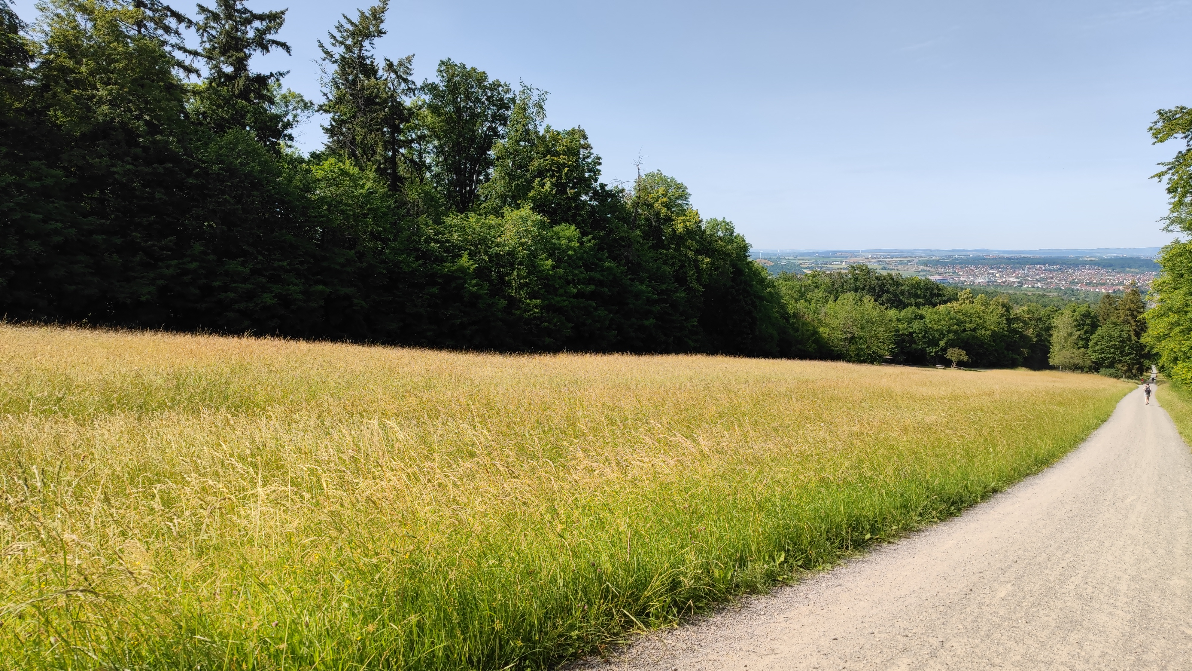 Meadow with a gravel trail that leads down to the town from the hill.