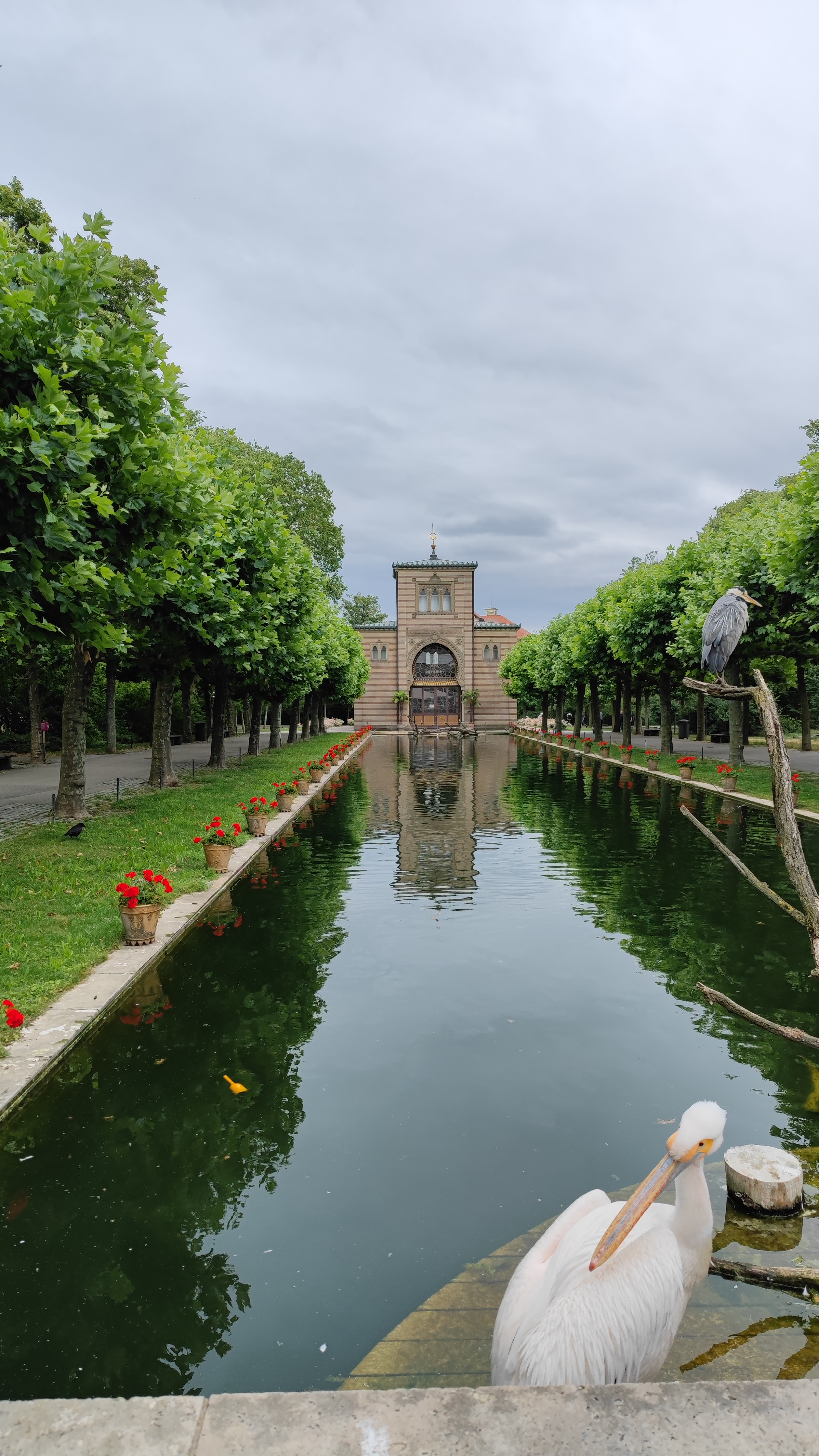 A long pool with an old building at the end. Some bigger birds are sitting in the foreground.