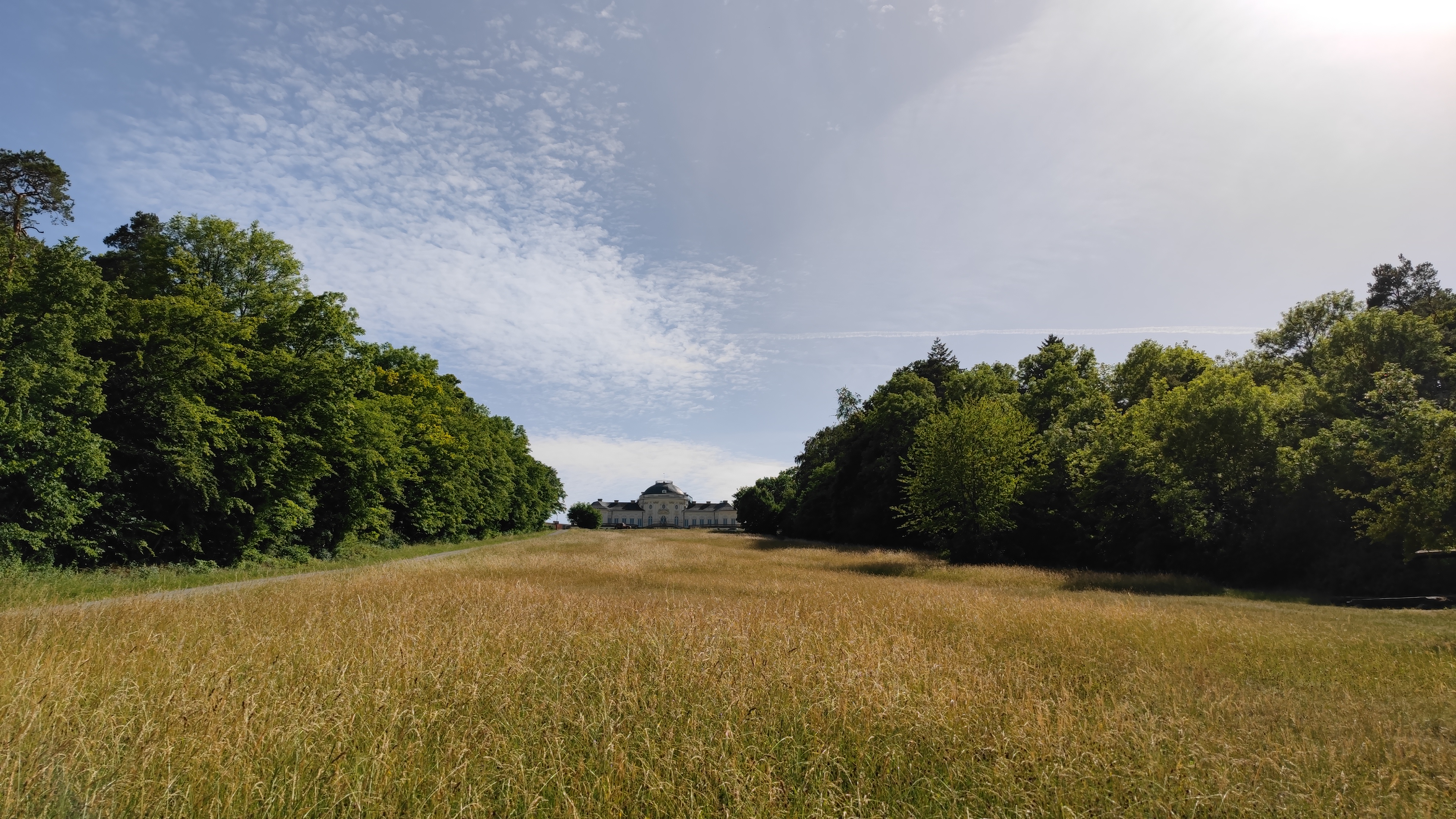 Meadow with a small palace on top of the hill in the distance.