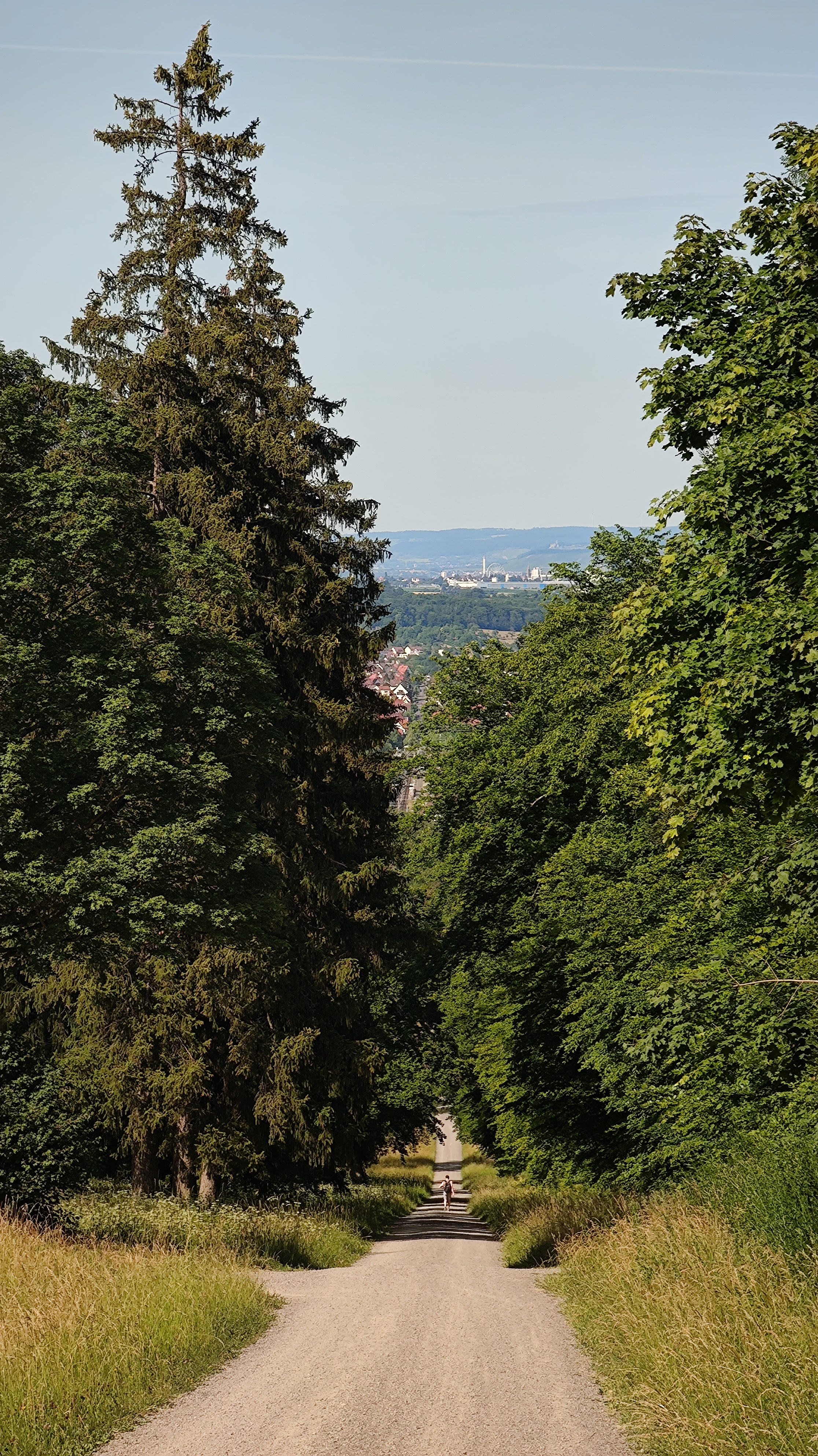 Gravel trail that leads down to the town from the hill.