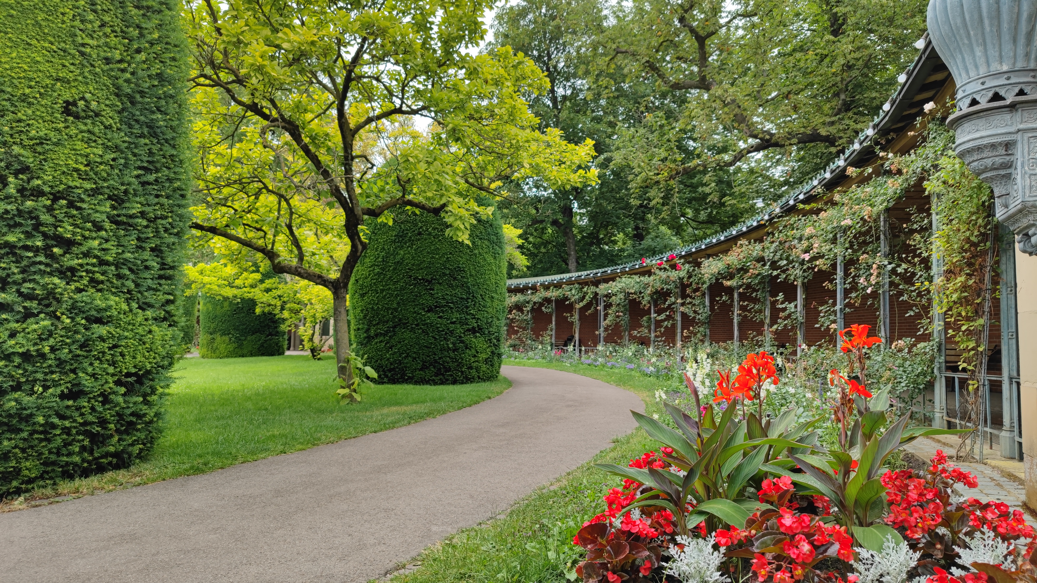 Gravel pathway in a botanical garden.
