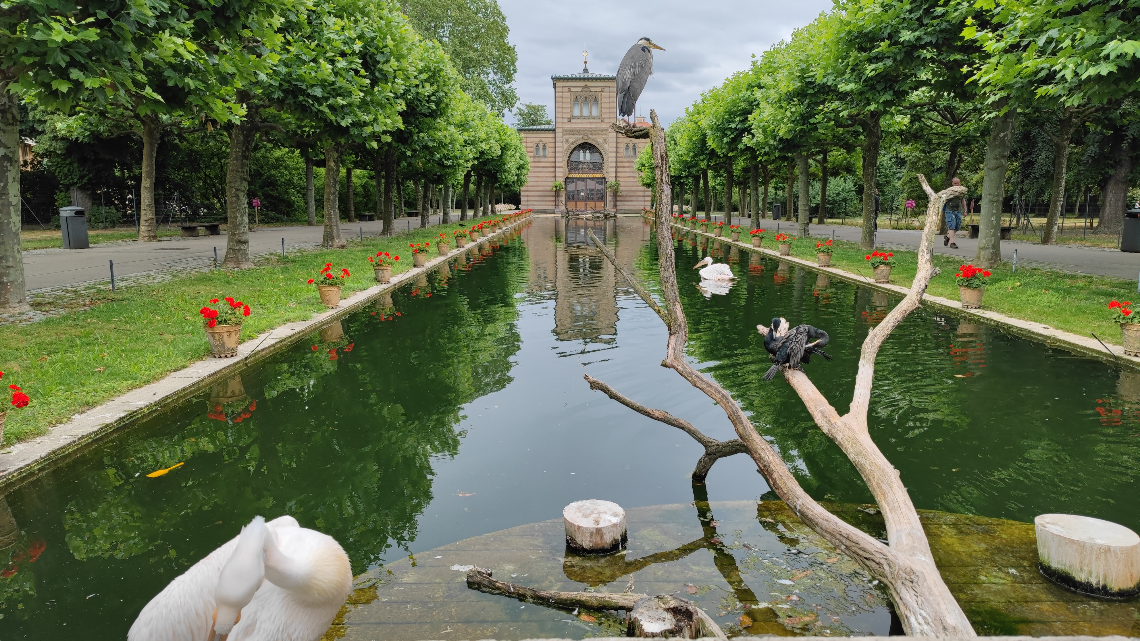 A long pool with an old building at the end. Some bigger birds are sitting in the foreground.