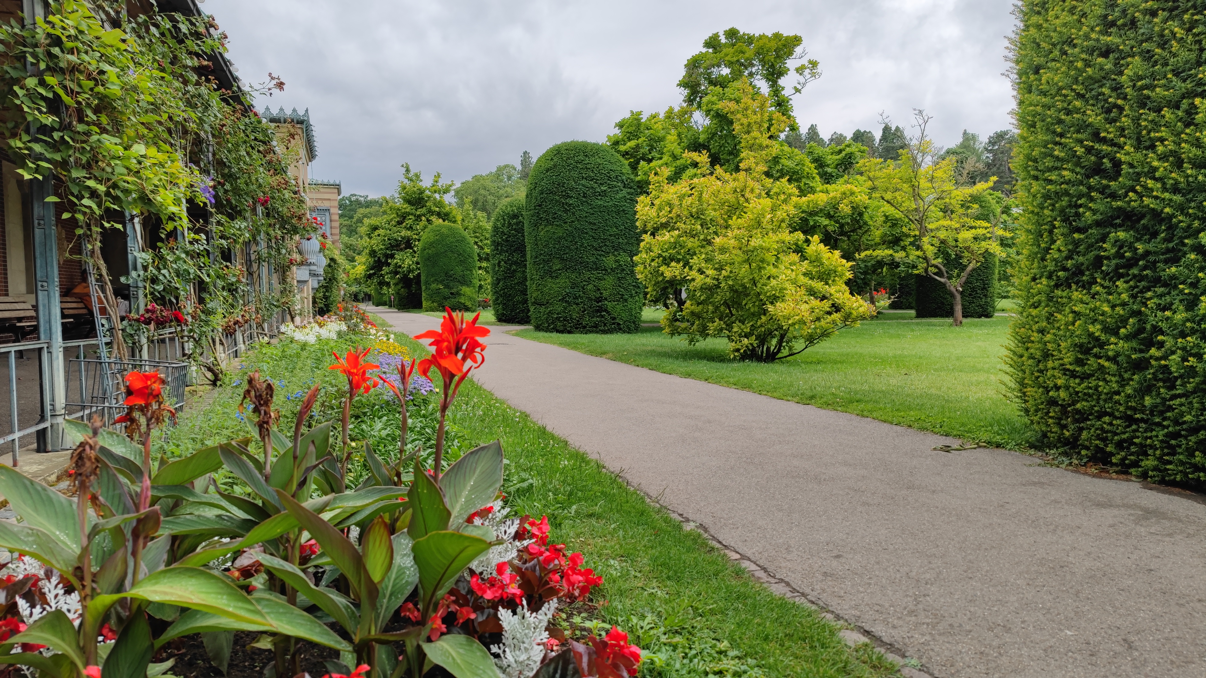 Gravel pathway in a botanical garden.